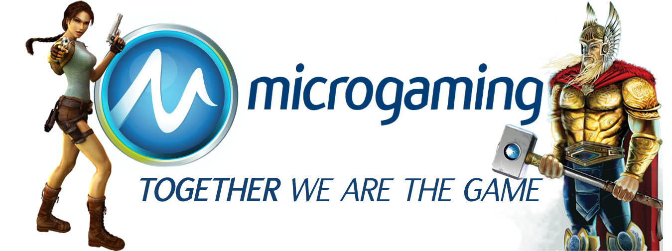 microgaming slide